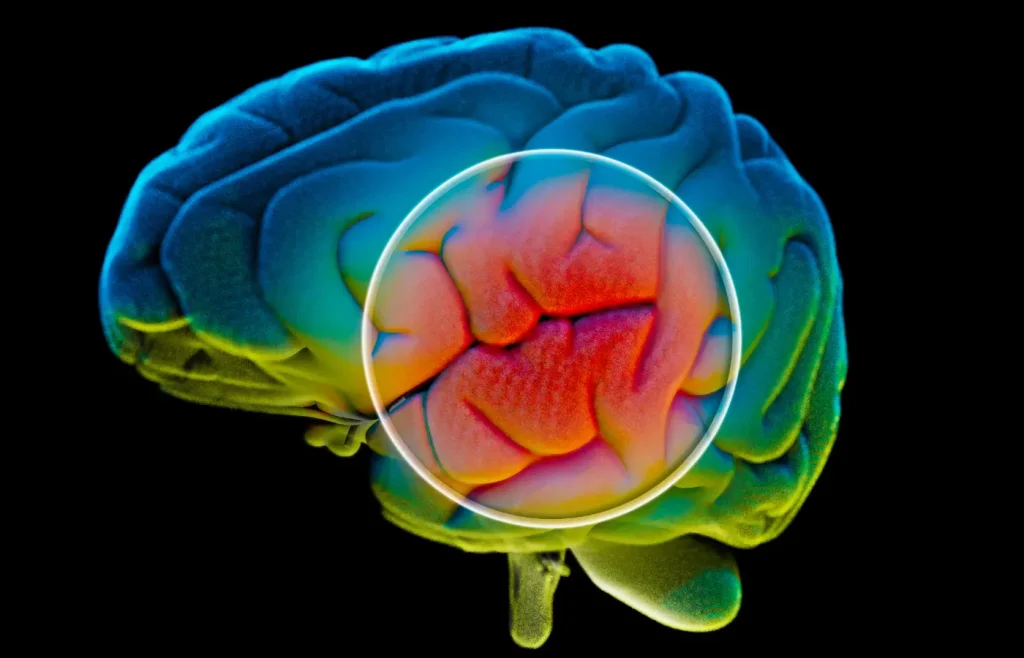 Beneficios del ejercicio físico en la salud mental - La dopamina